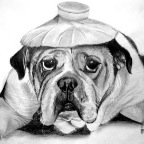 Copy of IMG_0006.jpg